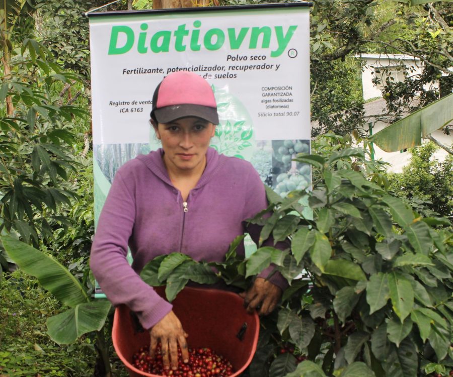 Diatiovny café (1)